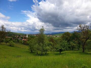 Фотографии Лоджи Pensiunea Padina г. Бран (Румыния) №4 Фото Лоджи Pensiunea Padina г. Бран 4