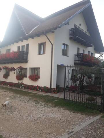 Фотографии Гостевой дом Casa Flavius г. Бран (Румыния) №4 Фото Гостевой дом Casa Flavius г. Бран 4
