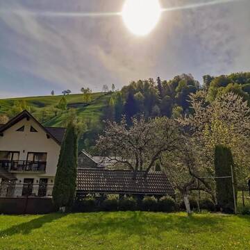 Фотографии Гостевой дом Bucuria Muntelui г. Бран (Румыния) №2 Фото Гостевой дом Bucuria Muntelui г. Бран 2