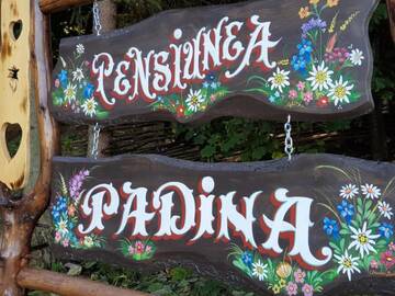 Фото номера Дом с 5 спальнями Лоджи Pensiunea Padina г. Бран 3