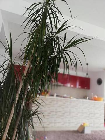 Фото номера Вилла Виллы Casa Luca Ama Bran г. Бран 51