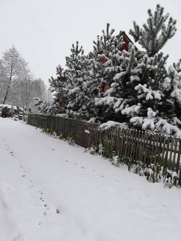 Фото номера Дом для отпуска Дома для отпуска Casa Jasmin г. Бран 8
