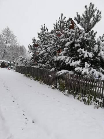 Фото номера Дом для отпуска Дома для отпуска Casa Jasmin г. Бран 117