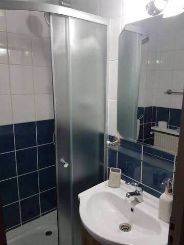Фото номера Двухместный номер с 1 кроватью и собственной ванной комнатой Гостевой дом Briza de Munte г. Бран 19