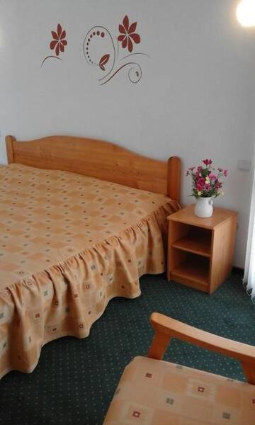 Фото номера Двухместный номер с 1 кроватью Отель Hotel Sofia г. Бран 6