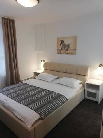 Фото номера Двухместный номер с 1 кроватью Гостевой дом Guest House Piatra Craiului г. Бран 12