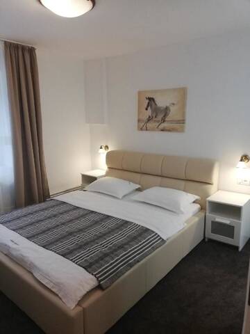 Фото номера Двухместный номер с 1 кроватью Гостевой дом Guest House Piatra Craiului г. Бран 2
