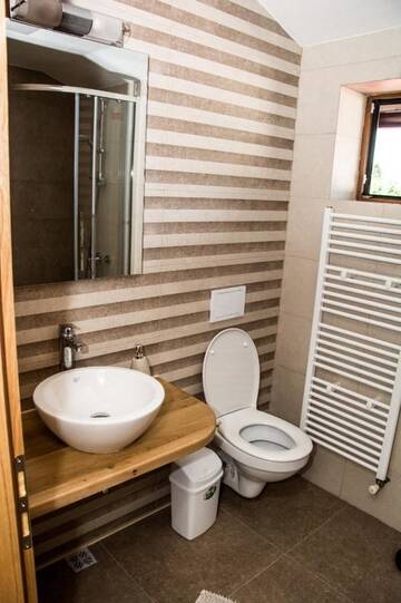 Фото Гостевой дом Green Forest Bran House г. Бран 4