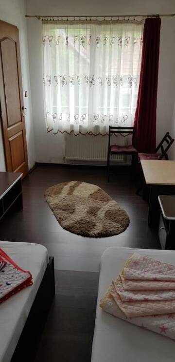 Фото номера Двухместный номер с 1 кроватью и балконом Гостевой дом Pensiunea Casa Beatrice Bran г. Бран 26