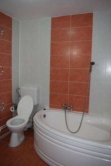 Фото номера Двухместный номер с 1 кроватью Курортные отели Club Vila Bran г. Бран 3